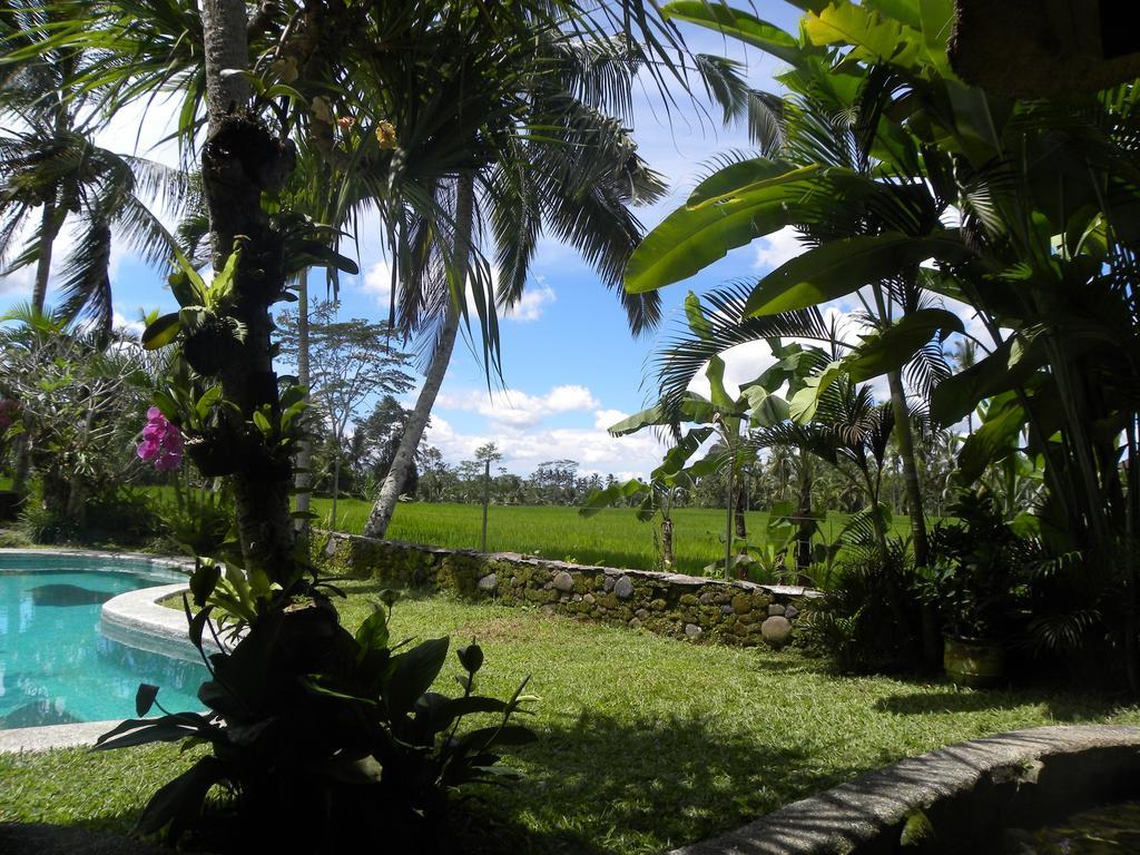 Saudara Home Ubud Kültér fotó