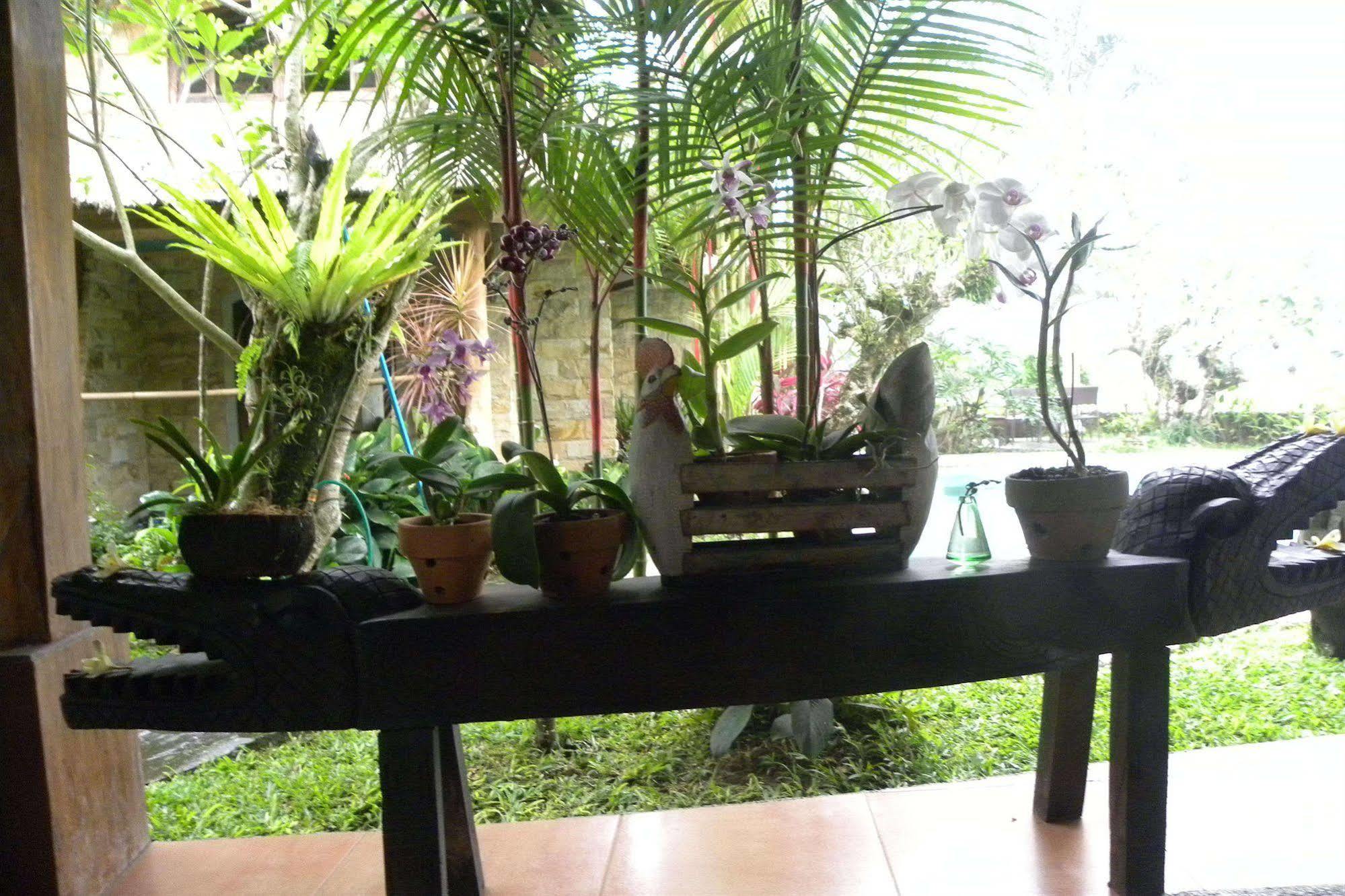 Saudara Home Ubud Kültér fotó