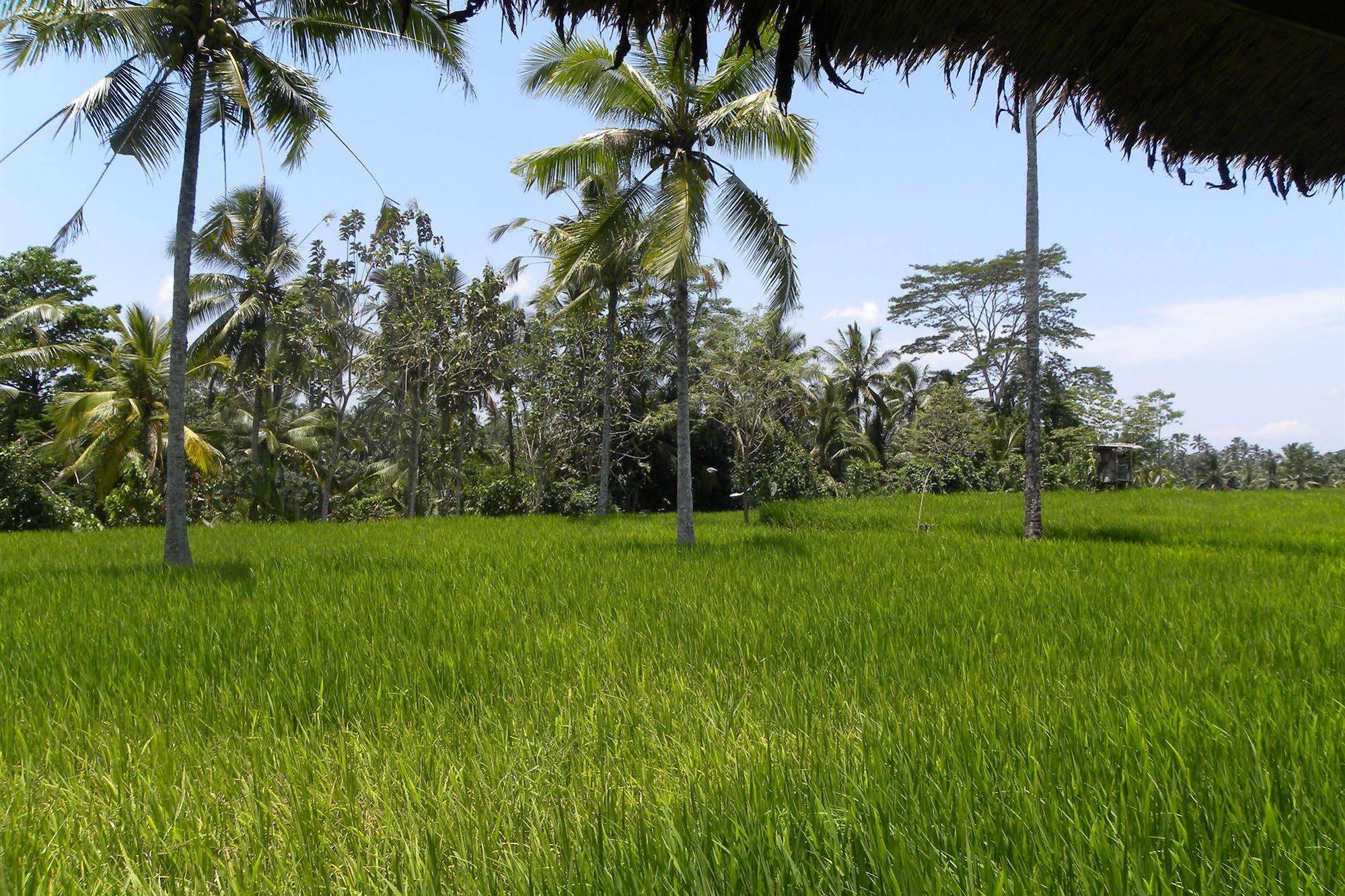 Saudara Home Ubud Kültér fotó