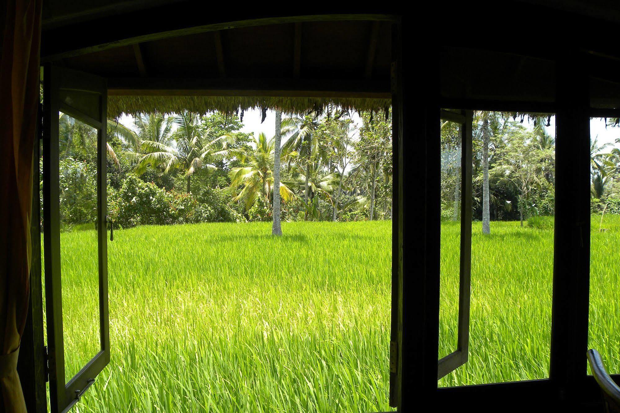 Saudara Home Ubud Kültér fotó