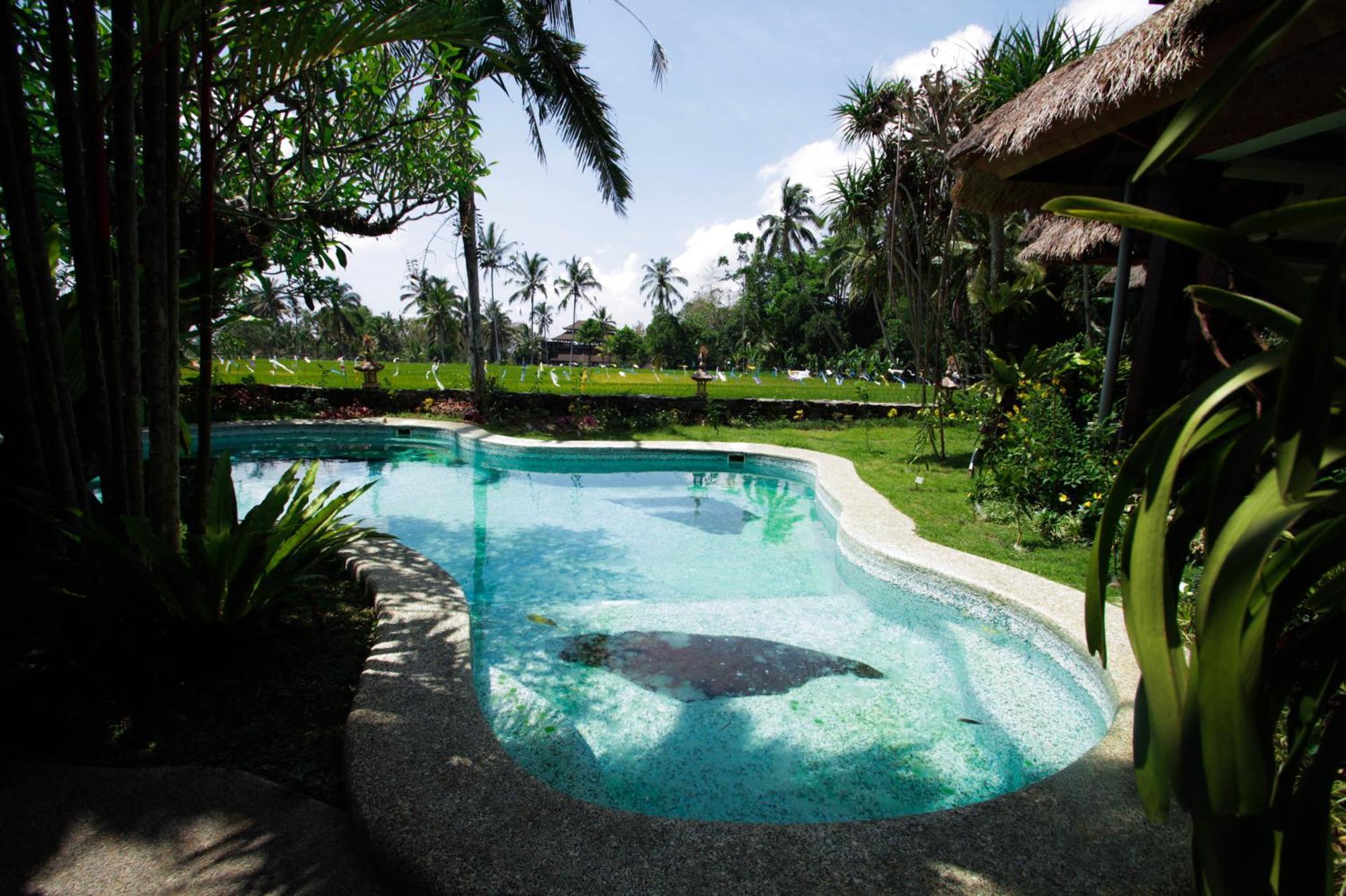 Saudara Home Ubud Kültér fotó